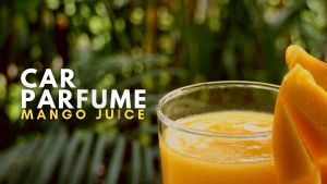 Rumah Wangi ARA -  MANGO JUICE Parfum Pewangi Mobil Pengharum Ruangan Aroma Mewah