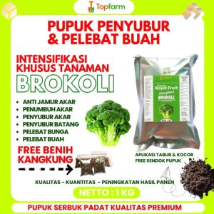 Pupuk & Fungisida Terbaik untuk Tanaman Brokoli