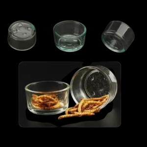 ถ้วยแก้วใส่น้ำ ถ้วยแก้วอาหารสัตว์เลื้อยคลานนขนาดเล็ก  1ใบ ราคาพิเศษ