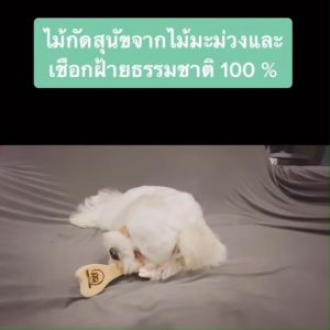 มาเล่นหมา เล่นสุนัข 4 มิตร ไม้แทะขัดฟันสูงสุด ของเล่นหมา จากไม้มะม่วงและเชือกฝ้ายธรรมชาติ