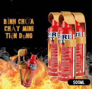 Bình cứu hỏa mini loại 1kg nhỏ gọn rất tiện dụng cho mỗi gia đình