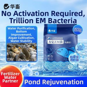 HUAXU | Fermentation Bacteria Composite Bacillus Probiotics Original Seed Liquid