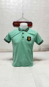 เสื้อโปโลสิงห์ สีเขียวมิ้น เสื้อโปโลผู้ชาย โลโก้สิงห์   Polo ผู้ชาย โลโก้สิงห์  เสื้อโปโล  เสื้อโปโลสิงห์ สีเขียวมิ้น