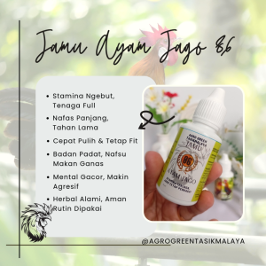 JAMU AYAM BANGKOK JAMU JAGO 86