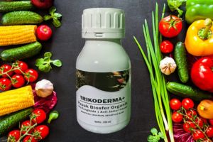 BELI 3 GRATIS 1 BOTOL PUPUK Tricoderma+ Bio Fungisida Plus Pupuk Biosfer Anti Jamur Anti Layu