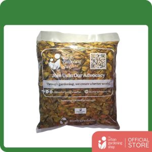 Dried Acacia Leaves for Mulching & Soil Amendment