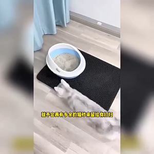 Double Layer Thickened EVA Cat Litter Mat Washable Anti-Spill & Anti-Tracking Paw Cleaning Mat for Cat Litter Box Pet Cat Supplies