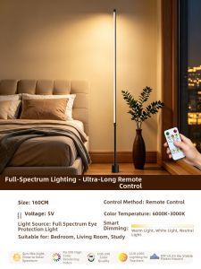 jiuxin lighting | Atmospheric Voice-Controlled Remote Stand Lamp