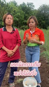 นุชฟอร์ไลฟ์1 กับจับใบนุช 100cc อาหารเสริมพืชทางใบ