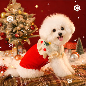 HOOPET | New Year Winter Pet Clothes