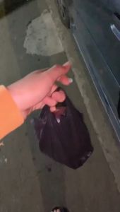 Pengharum Mobil Daily Air Freshener: Parfum Pewangi Mobil Mewah Menyegarkan