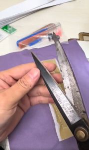 <Free Cutter> 8inch 9inch 10inch 11inch & 12inci PIN Professional Tailoring Scissors / Gunting Jahit Tailor Pakar