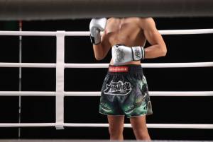 ANOTHER BOXER Muay Thai Shorts Boxing Shorts Traditional Styles MMA Workout Kickboxing Pants