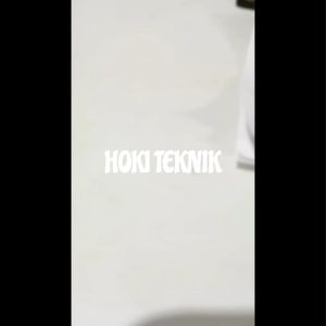 Pompa Air Celup Air Bersih Wasser WD 80E