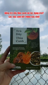 Trà Đông TRùng Dây Thìa Canh Hỗ Trợ Giảm Cân Kiểm Soát Đường Huyết (Mua 3 Tặng 1)