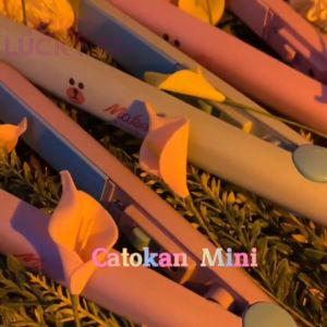 Catokan Mini 2 in 1 20W 180C Keriting Rambut dan Pelurus Portable