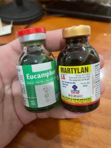 Bộ 2 chai tim hen suyễn khò khè nặng tiêm liều duy nhất dùng cho gia súc và gia cầm ( tặng kèm bơm tim và 1 chai điện giải thảo dược)