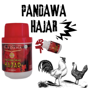 DOPING PANDAWA HAJAR - 40 kapsul untuk ayam