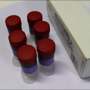 น้ำยายูวีเรืองแสง ใช้สำหรับตรวจหารอยรั่ว (6/BOX) รุ่น UVS1 แบรนด์ CPS จากประเทศ USA