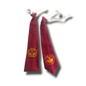 DASI SEKOLAH ANAK SD LAKI LAKI KARET BORDIR DASI ANAK SEKOLAH SD LAKI LAKI PEREMPUAN