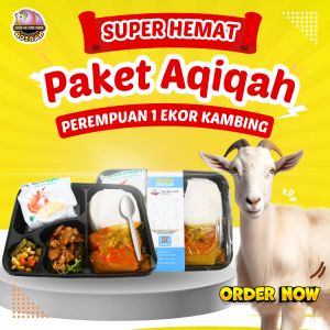 AQIQAH - Paket Aqiqah Nasi Box Super Hemat Perempuan | 1 Ekor Kambing