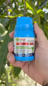 Phân Bón Vi Lượng SIAMB 3 - DASTONIC 24SL – Sản Phẩm Có Công Dụng Kích Thích Tăng Trưởng Cho Cây Ăn Trái Lúa Rau Màu (Chai 100ml)