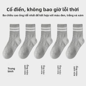 JIAZINI | Vớ Dài Mid-Calf Bền Cho Nữ