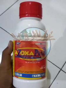 Azoxa Plus 400 ml Fungisida Sistemik Klorotaronil & Azoksistrobin