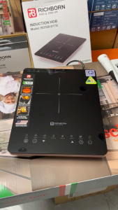 Bếp Từ Đơn RICHBORN RI3528-D17G-Sản xuất Malaisia