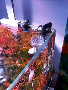 สกิมเมอร์ตู้ปลา Skimmer Vortex สะดือเทียม หัวกรองฝ้าแบบ ดูดฝ้าผิวน้ำ ใช้ได้ทั้งอินโฟลแก้วและสแตนเลส