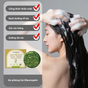 Sữa Gội Thảo Dược HOEGOA 60g Chiết Xuất Từ Tinh Dầu Tràm Trà Nuôi Dưỡng Da Đầu Làm Chắc Khỏe Chân Tóc Dưỡng Ẩm Tóc Duy Trì Độ Cân Bằng Độ pH Cho Mọi Loại Tóc