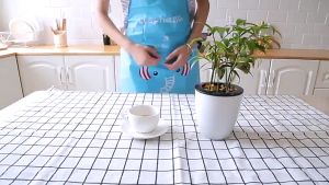 Celemek Masak Karakter / Celemek Dapur Arti Air Minyak untuk Memasak