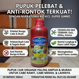 Pupuk Pelebat Cabe Rawit KCL NURRATONIX 500ml - Pupuk Pelebat Buah Cabe Dan Anti Rontok - Pupuk Pelebat Bunga Cabe - Pupuk Pelebat Daun Cabe - Pupuk Pelebat Buah Pada Cabe - Pupuk Cair Pelebat Buah Cabe - Pupuk Organik Pelebat Buah Cabe Paling Ampuh Murah