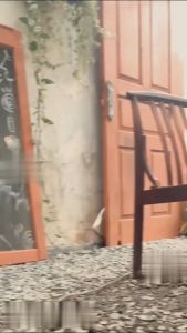 Celana Jeans Pria Selvedge Accent Denim Celana Panjang Pria