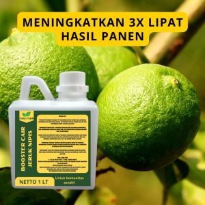 Pupuk Semprot Pelebat JERUK NIPIS Pupuk Pelebat JERUK NIPIS Pupuk Penyubur JERUK NIPIS ZPT