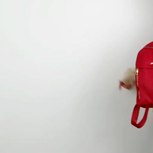 MC Trendy Outdoor Backpack for Womens Oxford Cloth Backpack Fashionable Travel Backpack Waterproof Bookbag for Womens