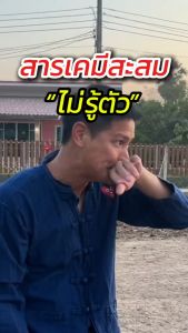 [ร้านเจ้าของเเบรนด์] ชารางจืด ชาล้างสาร ไทยเฮิร์บ ThaiHerb คละสูตร [ชาเขียว+เก๊กฮวย] [1แถม2] ชาสมุนไพร สูตรแพทย์แผนไทย ล้างวัคซีน เสริมภูมิ