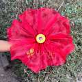 Kelopak Bunga Dekorasi Pelaminan model bunga sepatu /Artificial Flower / Kap Bunga Dekorasi / Bunga Hias / Giant Flower Premium / bahan kain organdi Organza. 