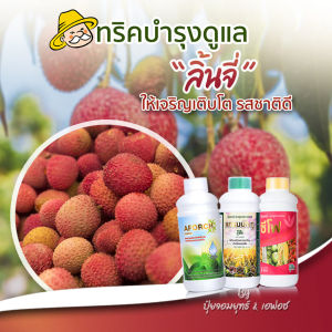 ปูยสีดอก 1 ลิตร สีดอก ปูยน้ำเร่งดอก ปูยน้ำซีโฟ กระบวนการเปิดตาดอก สร้างน้ำตาลให้เพิ่มน้ำตาล บำรุงผล ทำให้ดอกกระชับ ปริมาณ 1 ลิตร