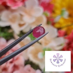 พลอยทับทิม น้ำหนัก 5.67 กะรัต สีแดง-ชมพู รูปร่างไข่หลังเบี้ย เป็นพลอย เผาใหม่ ภายในเนื้อพลอยมีตำหนิเล็กน้อย การันตีพลอยแท้ 100% ราคา 299 บาท