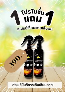 PERFECT สเปร์ยเชื่อมแกนผม ขวดสีดำ ช่วยบำรุง ฟื้นฟู ปัองกันผมช๊อต ขนาด 250มล.