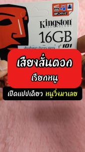 เสียงสั่นตอก เรียกหนู แฟลชไดร์ฟ USB mp3 เสียงดังฟังชัด เปิดปุ๊บมาปั๊บ เสียงดังฟังชัด100%