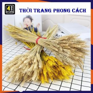 Bó 100 Bông Lúa Mạch Khô Decor Trang Trí Tài Lộc Màu Vàng Natural Tư Nhiên - Bông Lúa Tài Lộc May Mắn Trang Trí Nhà Cửa