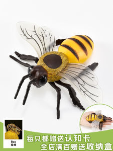 Large Size Solid Animal Model Toy Bee Insect Simulation Childrens Plaything Cognitive Gift Decoration Static Model Doll