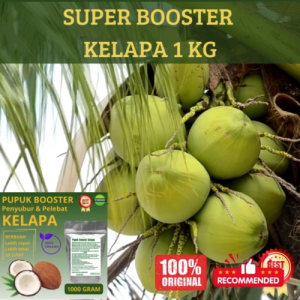 Pupuk organik booster perangsang dan pelebat buah Kelapa 1 KG cepat berbuah tidak mudah rontok