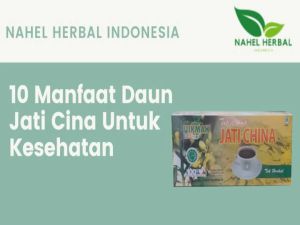 Teh Celup Daun Jati Cina Hikmah Isi 20 Kantung / Bag Teh Celup Daun Jati Cina \ Teh Celup Daun Jati Cina Promo \ Teh Jati Cina Celup Pelangsing Ori Bpom \ Teh Daun Jati Cina Kapsul Ori \ Teh Daun Jati Cina \ Teh Daun Jati Cina Celup Berkah