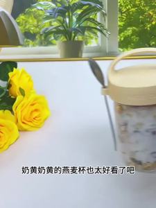 MEILADUOLA | Sealable Portable Breakfast Cup