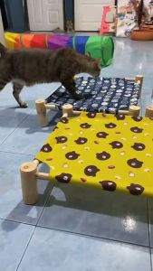 YTL   เตียงเดินขบวนสัตว์เลี้ยง เตียงสุนัขฤดูร้อน ถอดออกได้และล้างทําความสะอาดได้ ไม้ เสื่อแมวที่ใช้งานได้ทุกฤดูกาล เตียงเดินขบวนสุนัข