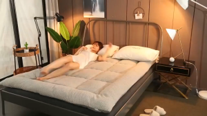 Foldable Mattress Single/Queen/King Feather Velvet Soft Mattress Topper Breathable Space Saving