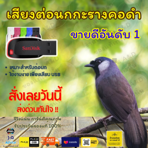 Flash Drive เสียงต่อ นกกะรางคอดำ – คมชัด 6 ชั่วโมง ไม่มีโฆษณา | ส่งด่วน Flash Express | เก็บเงินปลายทาง